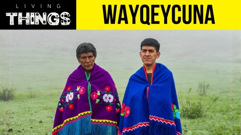 Living Things presents Wayqeycuna