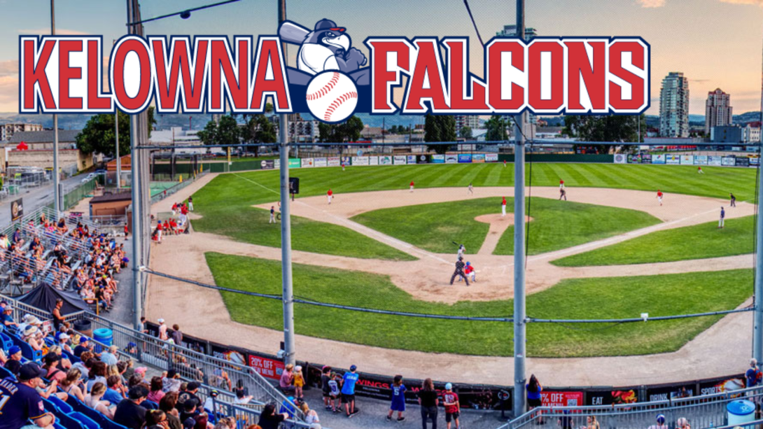 Elks Stadium with falcons Banner